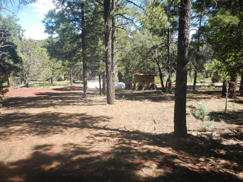 Chauncey 158 acres near Williams Coconino County, Arizona